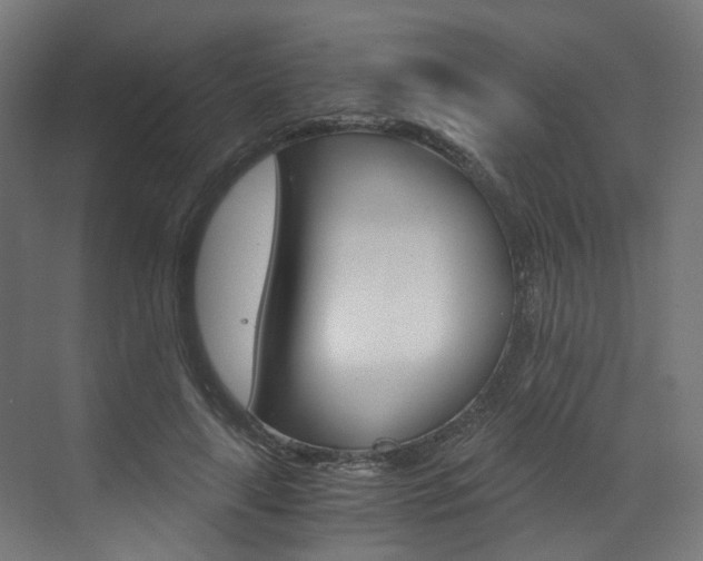 X0000073530643200607311016