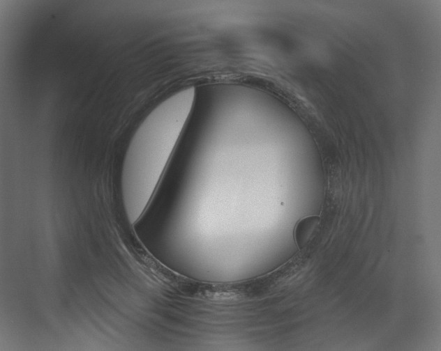 X0000073530645200607311016