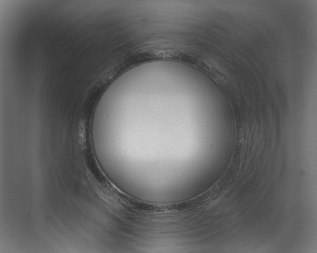 X0000073530646200607311016