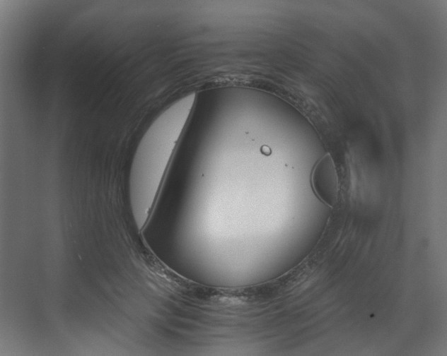 X0000073530649200607311016