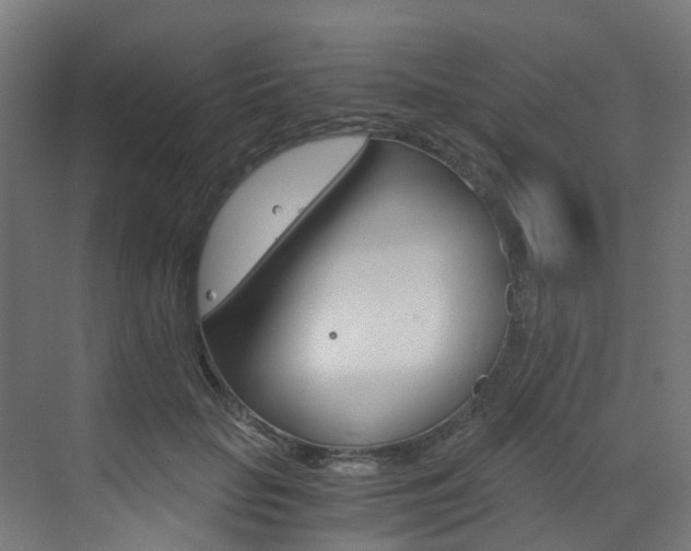 X0000073530653200607311016
