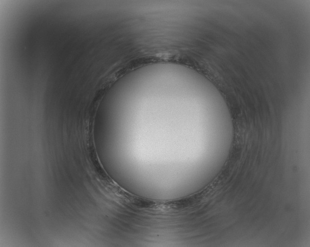 X0000073530656200607311017