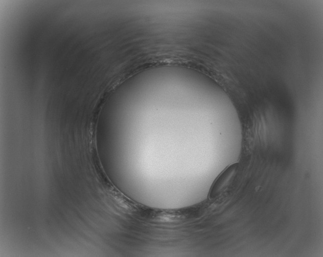 X0000073530657200607311017