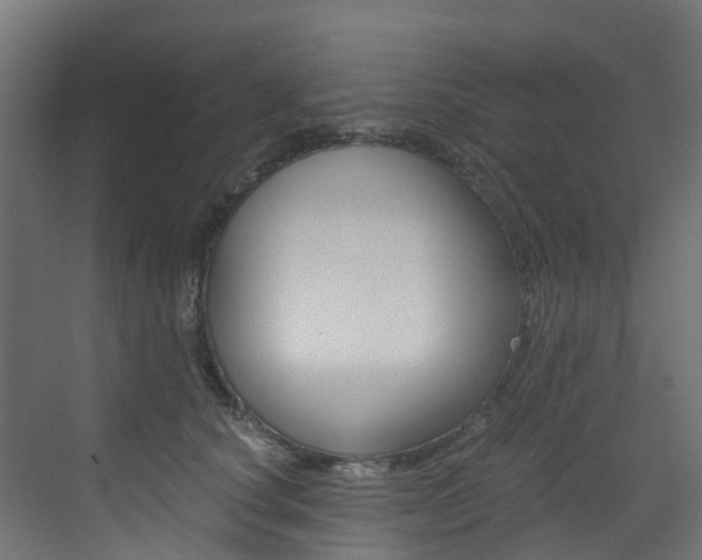 X0000073530660200607311017