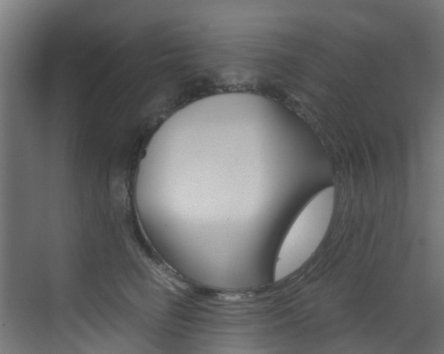 X0000073530662200607311017