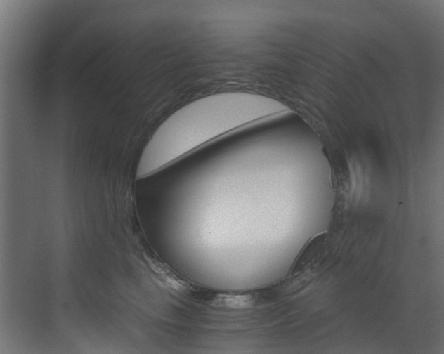 X0000073530665200607311017