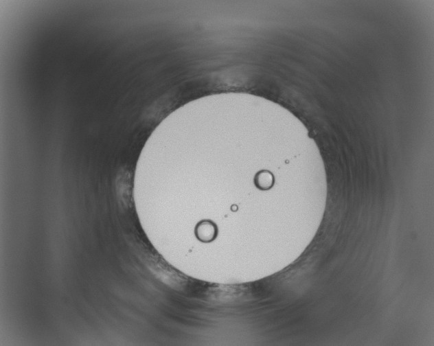 X0000073530672200607311017