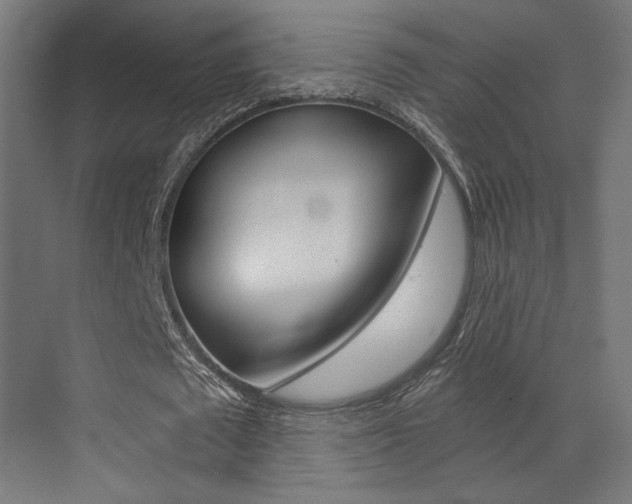 X0000073530673200607311016