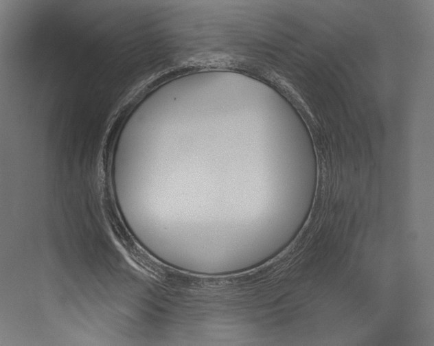 X0000073530674200607311016