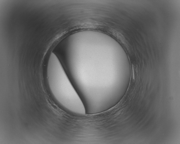 X0000073530675200607311016