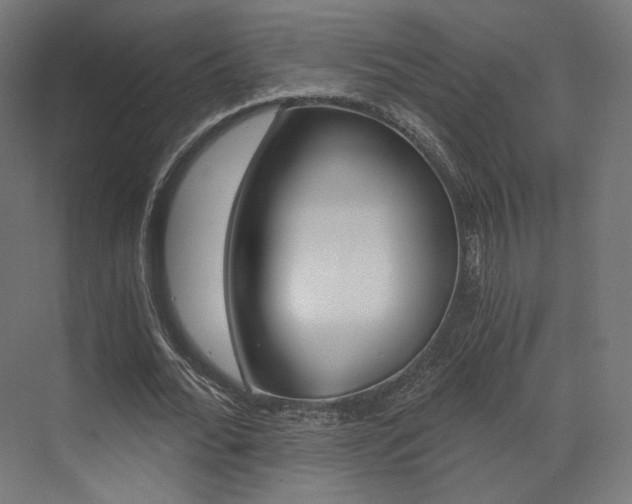 X0000073530676200607311016