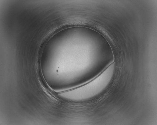X0000073530677200607311016