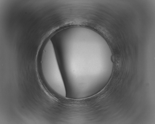 X0000073530678200607311016