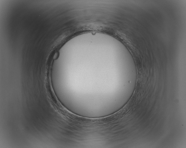 X0000073530679200607311016