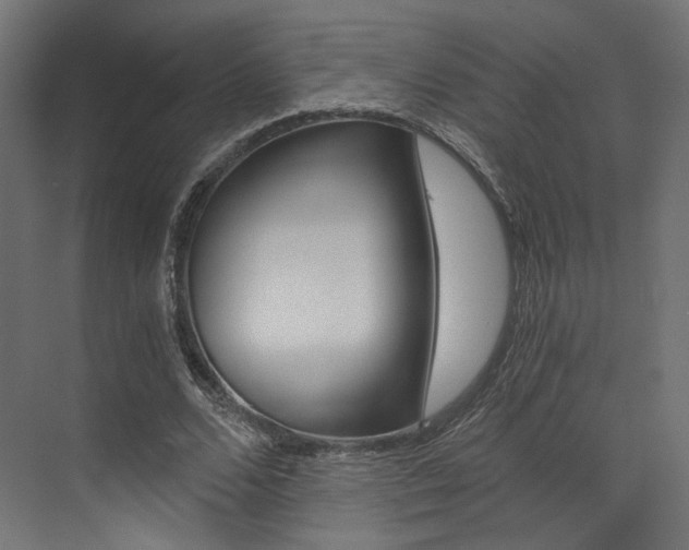 X0000073530680200607311016
