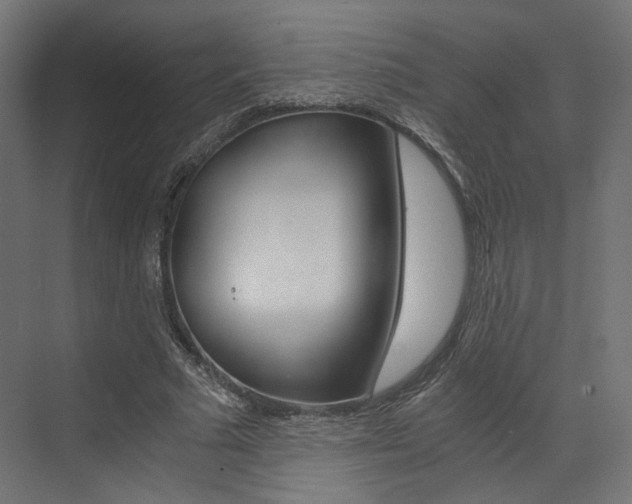 X0000073530681200607311016