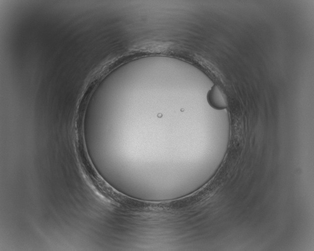 X0000073530682200607311016
