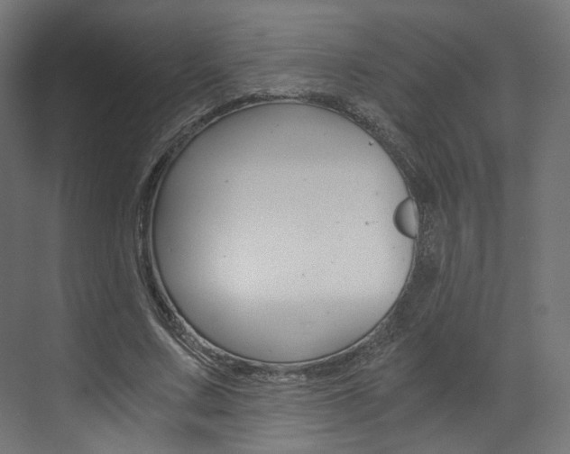 X0000073530683200607311016