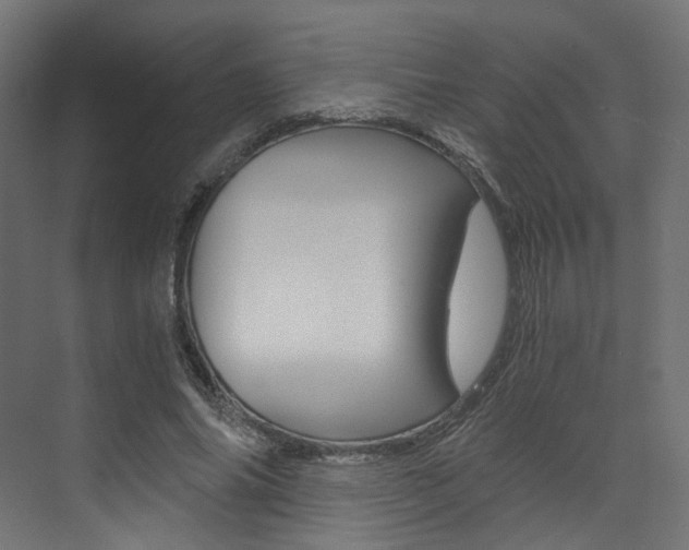 X0000073530686200607311016