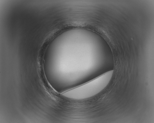 X0000073530688200607311016