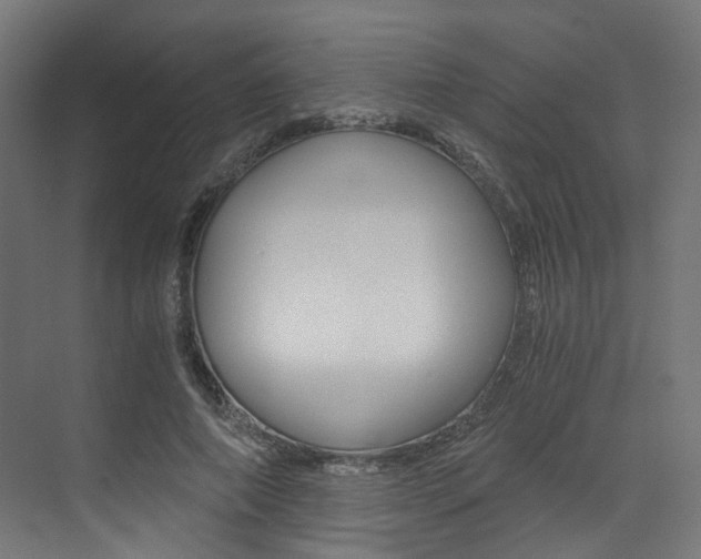 X0000073530690200607311016