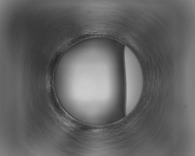 X0000073530692200607311016