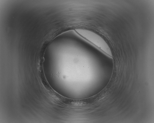 X0000073530693200607311016