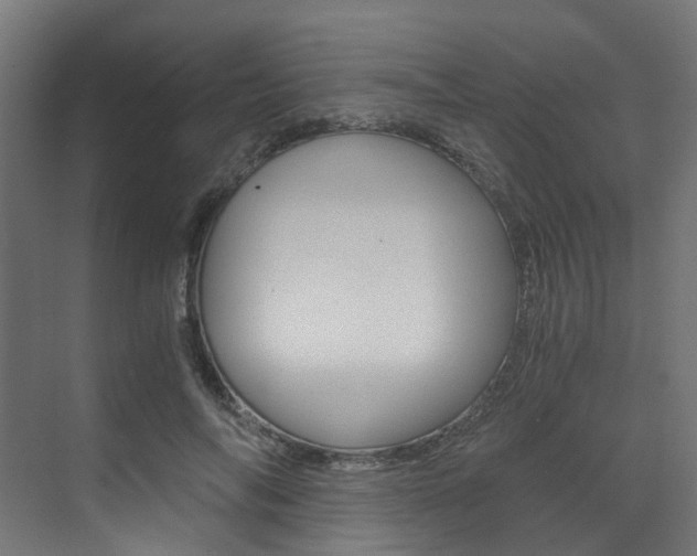X0000073530694200607311016