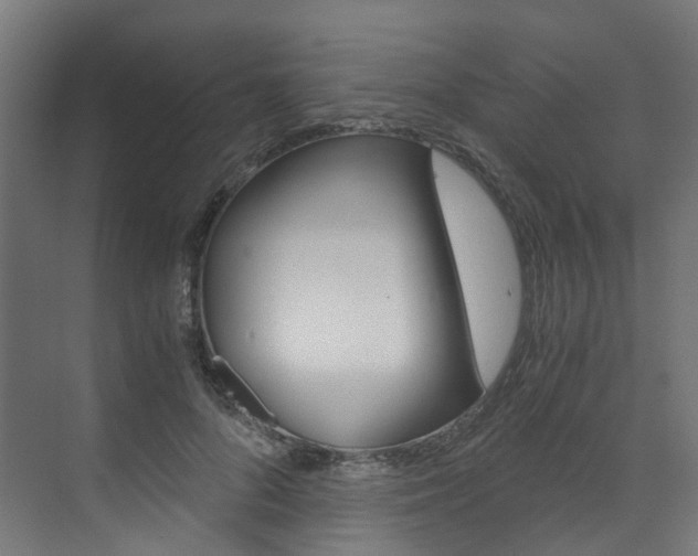 X0000073530696200607311016