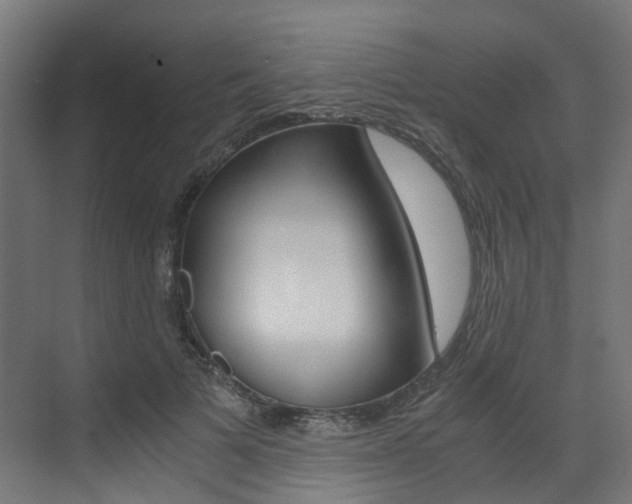 X0000073530697200607311016