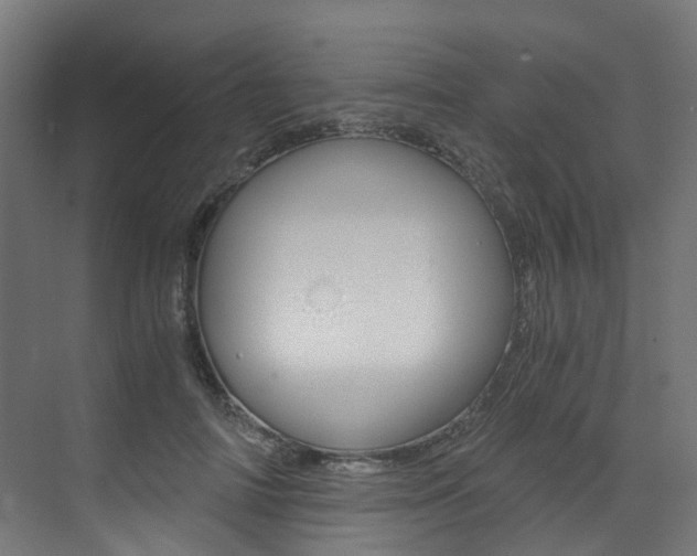 X0000073530698200607311016