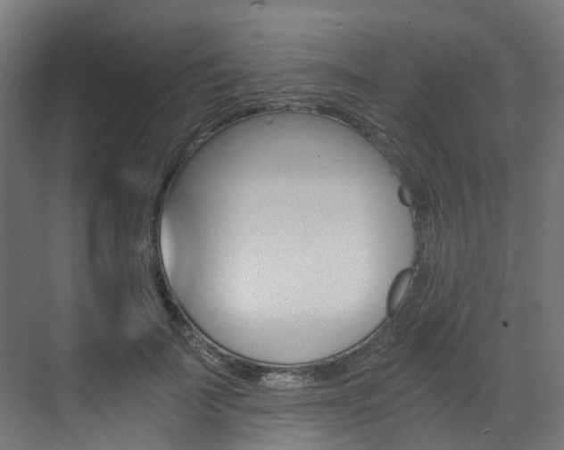 X0000073530699200607311016