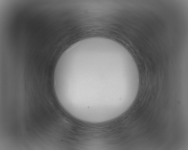 X0000073530701200607311016