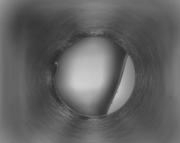 X0000073530704200607311015