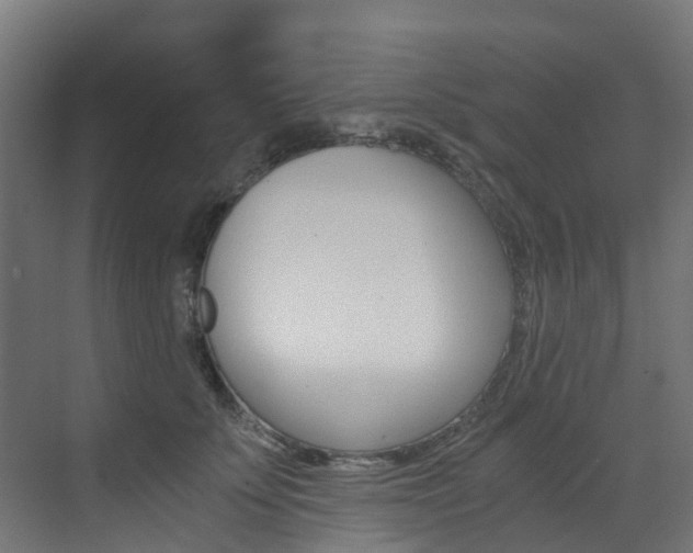 X0000073530707200607311015