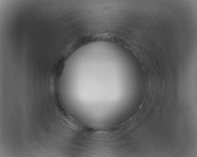 X0000073530708200607311015
