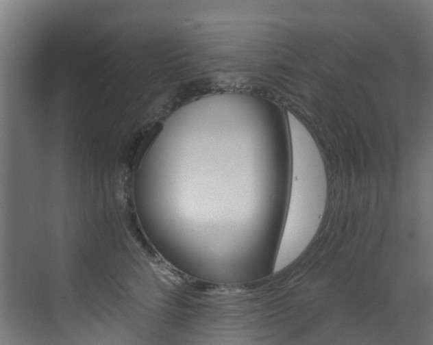 X0000073530712200607311015
