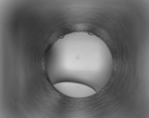 X0000073530718200607311015