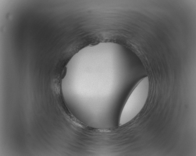 X0000073530719200607311015