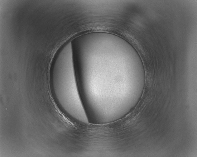 X0000073530721200607311014