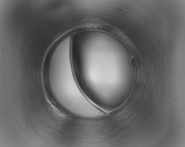 X0000073530722200607311014
