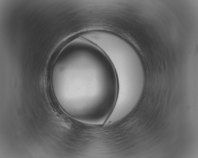 X0000073530724200607311014