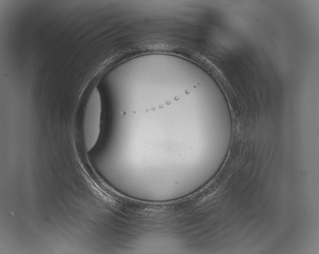X0000073530725200607311014