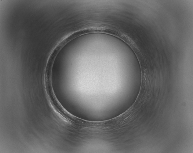 X0000073530726200607311015
