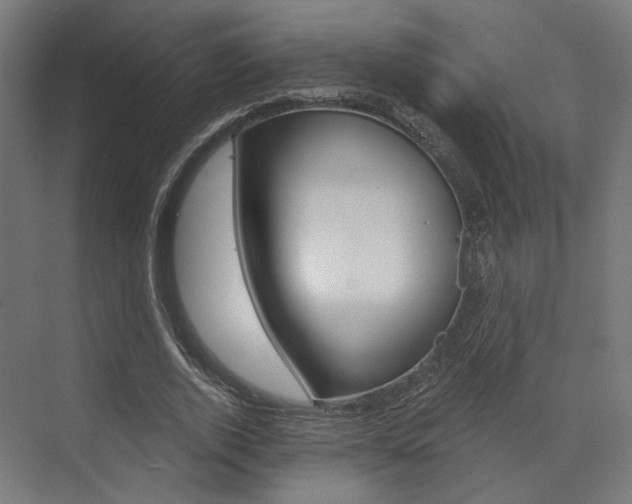 X0000073530728200607311015