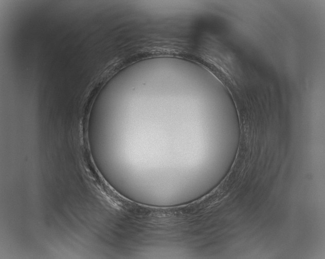 X0000073530729200607311015
