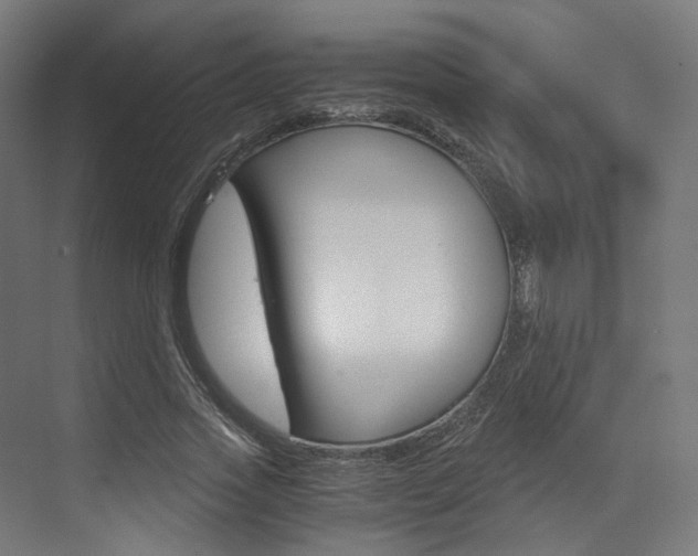 X0000073530733200607311015