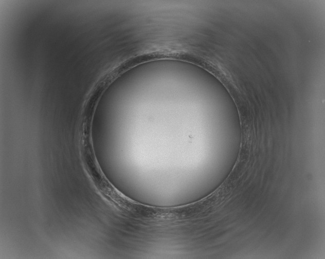 X0000073530736200607311015