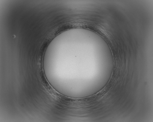 X0000073530737200607311015