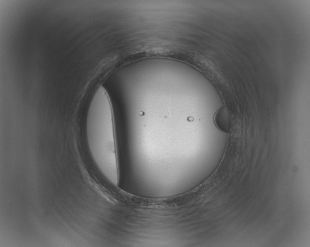 X0000073530738200607311015